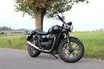 Triumph Bonneville Street Twin 900, Motoren, Motoren | Triumph, 2 cilinders, 900 cc, Particulier, Meer dan 35 kW
