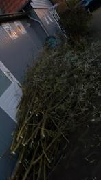 Wilgentakken, Ophalen of Verzenden, Zo goed als nieuw, Overige metalen