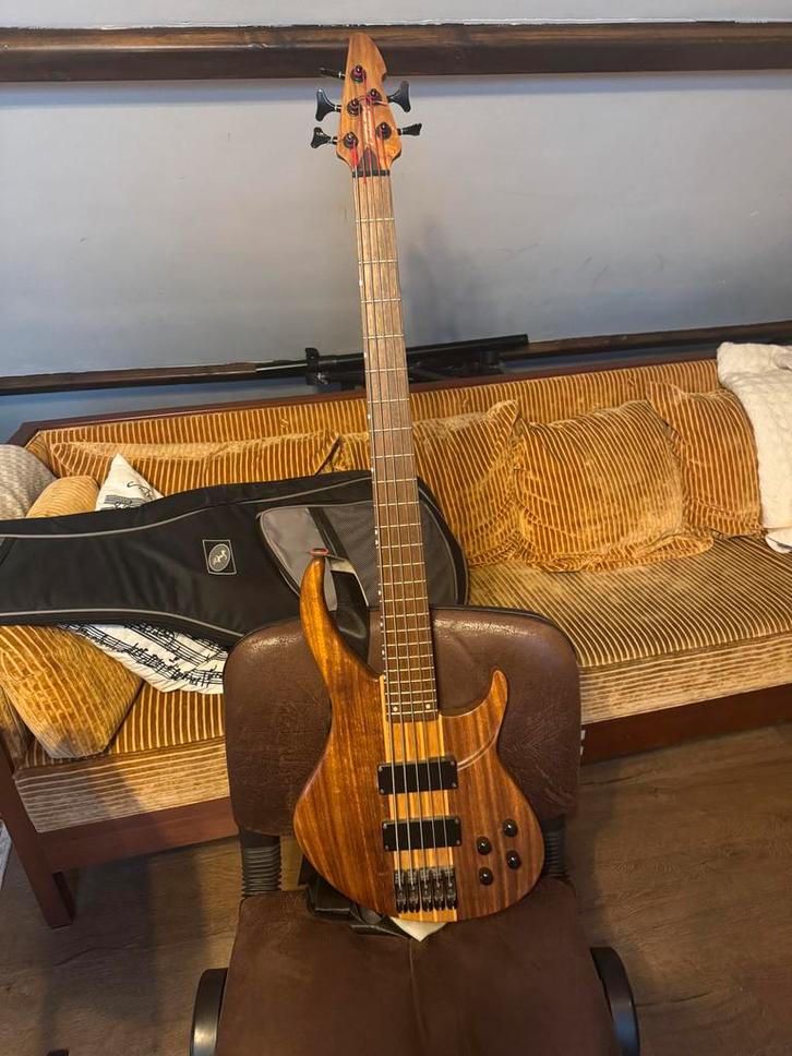 Peavy Vintage 5-snarige Basgitaar - Goede Staat, Muziek en Instrumenten, Snaarinstrumenten | Gitaren | Bas, Gebruikt, Elektrisch