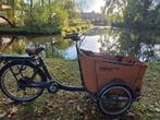 Bakfiets Babboe Curve Elektrisch - Perfect voor Familie!, Fietsen en Brommers, Fietsen | Bakfietsen, 4 kinderen of meer, Gebruikt