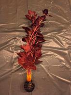 Nep rood aquarium plantje, Dieren en Toebehoren, Vissen | Aquaria en Toebehoren, Ophalen, Zo goed als nieuw, Plant(en), Steen of Hout