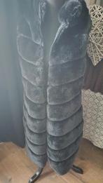 Zwarte Bodywarmer - Perfect voor de Lente!, Maat 38/40 (M), Zwart, Ophalen of Verzenden, Zo goed als nieuw