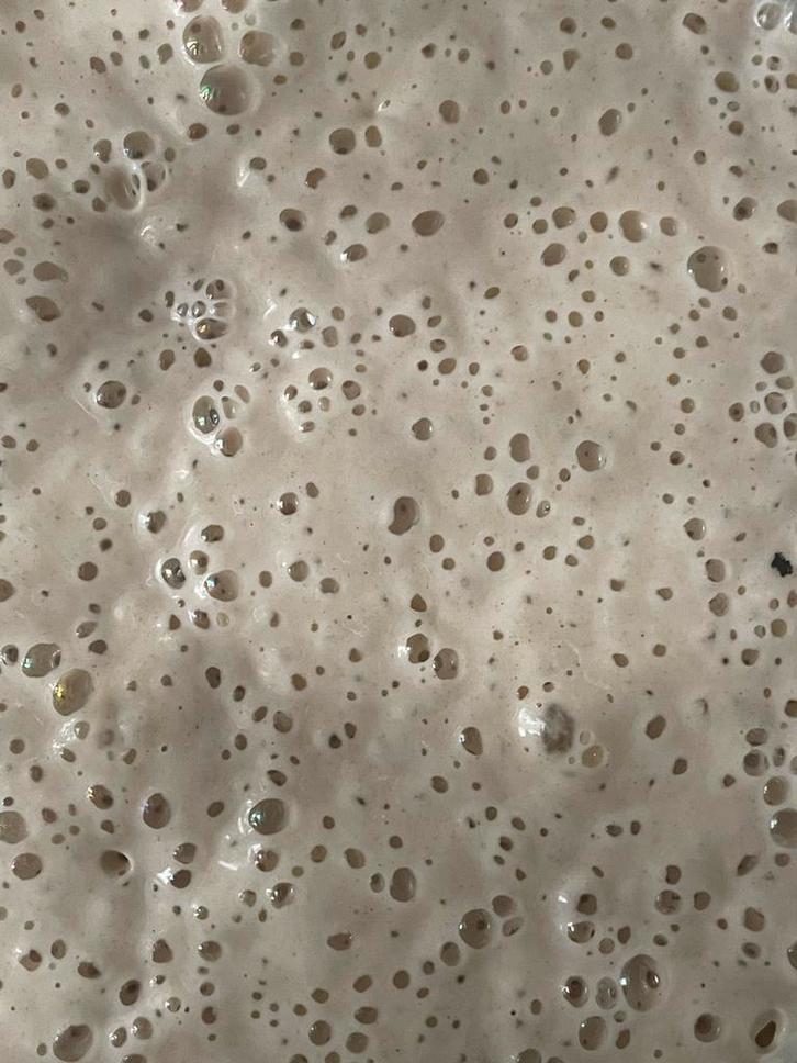 Zuurdesem starter 50 gram, Diversen, Levensmiddelen, Ophalen