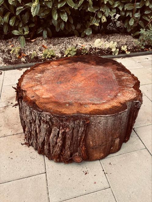Boomstamtafel van sequoiahout (70cm) – robuust en zeldzaam, Huis en Inrichting, Tafels | Salontafels, Zo goed als nieuw, Minder dan 50 cm