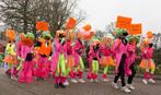 Loopgroep carnaval ca. 30-35 personen, Kleding | Dames, Carnavalskleding en Feestkleding, Gedragen, Carnaval, Kleding, Ophalen