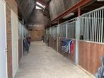 Stal Vrij op Onze Kleinschalige Privéstal, Dieren en Toebehoren, Stalling en Weidegang, Weidegang, 1 paard of pony