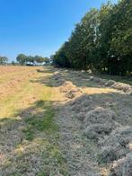 Hooi pakjes te koop, Ophalen, Vee