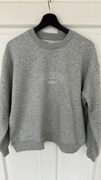 Sweater Janice maat 38 nieuw, Ophalen of Verzenden, Nieuw, Maat 38/40 (M)