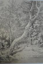aquarel bomen in bos aan water, Honig 1820 omg. Favenraad, Verzenden