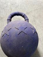 Paars Blauwe speelbal pony paard, Ophalen of Verzenden, Gebruikt, Overige soorten