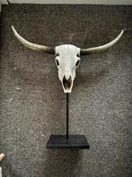 Stierenhoofd Decoratie, Ophalen, Zo goed als nieuw, Dier