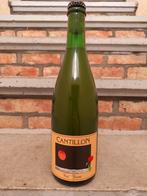 Cantillon - Fou' Foune 2024, Ophalen, Nieuw, Flesje(s), Overige merken