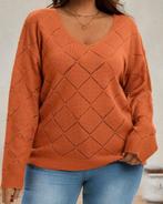Pullover Adelia ** NIEUW**, Verzenden, Nieuw, Trui of Vest