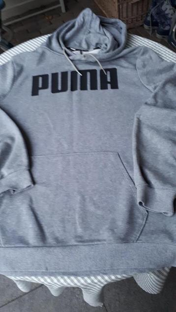 PUMA TRUI MAAT M met capuchon grijs beschikbaar voor biedingen