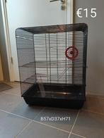 Rattenkooi, Dieren en Toebehoren, Ophalen