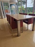 eettafel en stoelen, Huis en Inrichting, Tafels | Eettafels, Ophalen, Gebruikt, 200 cm of meer, 50 tot 100 cm