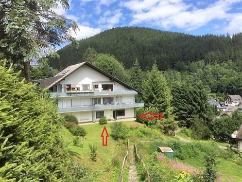 Fraai appartement, Willingen Sauerland, per direct nog vrij., Vakantie, Vakantiehuizen | Duitsland, Sauerland, Appartement, Dorp