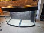 Jewel Vision180 aquarium met pomp, Dieren en Toebehoren, Vissen | Aquaria en Toebehoren, Ophalen, Gebruikt, Leeg aquarium