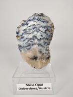 Dendriet opaal Oostenrijk, Ophalen of Verzenden, Mineraal