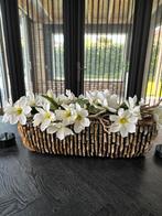 Mooie schelpen pot met magnolia en dienblad., Minder dan 50 cm, Ophalen of Verzenden, Zo goed als nieuw, Overige kleuren