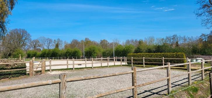 Ponystalling privé, Dieren en Toebehoren, Stalling en Weidegang, Stalling, Weidegang