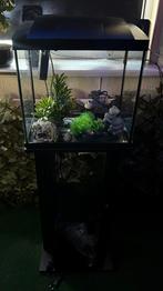 SUPERFISH START 30 VOLLEDIGE SET, Dieren en Toebehoren, Vissen | Aquaria en Toebehoren, Ophalen, Zo goed als nieuw, Leeg aquarium
