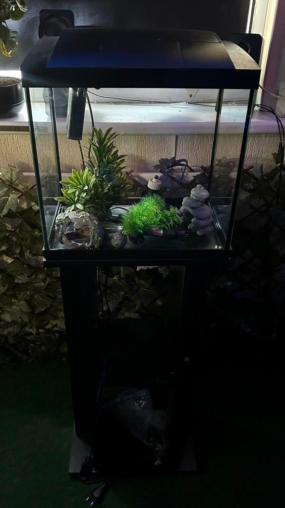 SUPERFISH START 30 VOLLEDIGE SET, Dieren en Toebehoren, Vissen | Aquaria en Toebehoren, Zo goed als nieuw, Leeg aquarium, Ophalen