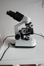 Euromex Microscoop, Ophalen, Zo goed als nieuw, 400x tot 1000x, Biologische microscoop