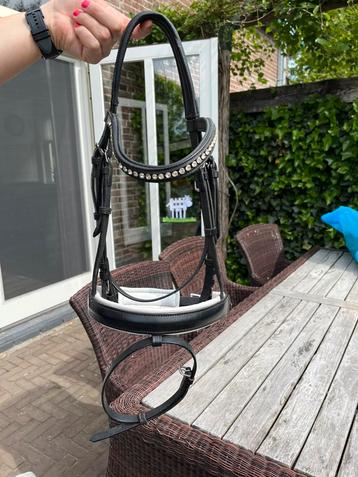Hoofdstel maat Cob beschikbaar voor biedingen