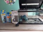 Aquarium en toebehoren, Ophalen, Gebruikt, Leeg aquarium