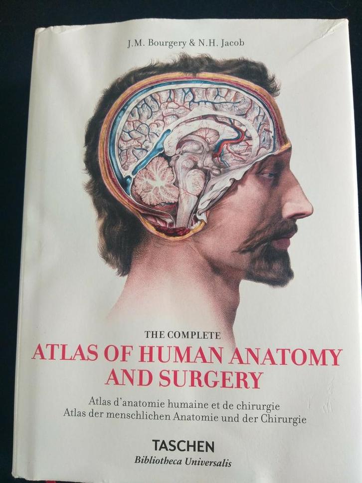 Voor studenten Psycho-biologie, Atlas of Human Anatomie & Su, Boeken, Studieboeken en Cursussen, Gelezen, WO, Beta, Ophalen of Verzenden