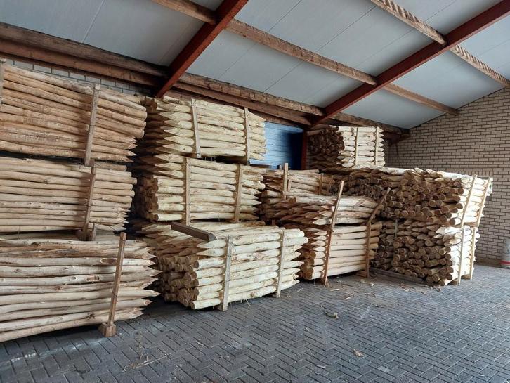 robinia palen, hekwerk, spintvrij robinia, Tuin en Terras, Palen, Balken en Planken, Nieuw, Palen, 250 cm of meer, Hardhout, Ophalen