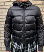 Parajumper Jas Maat S - Gedragen, Kleding | Dames, Jassen | Winter, Ophalen of Verzenden, Gedragen, Maat 36 (S), Zwart