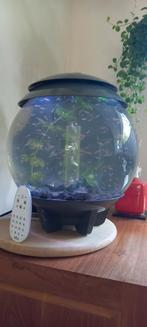 BiOrb Halo aquarium, Dieren en Toebehoren, Vissen | Aquaria en Toebehoren, Ophalen, Gebruikt, Leeg aquarium
