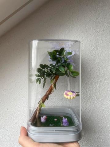 Springspin Terrarium 12x12x20 cm – Paarse Bloem & Kikker beschikbaar voor biedingen