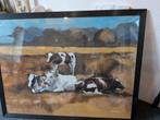 Schilderij koeien zwarte lijst, Antiek en Kunst, Ophalen of Verzenden