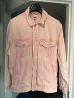 Tommy hilfiger spijkerjas tommy jeams grote maten 48-50, Kleding | Dames, Ophalen of Verzenden, Zo goed als nieuw
