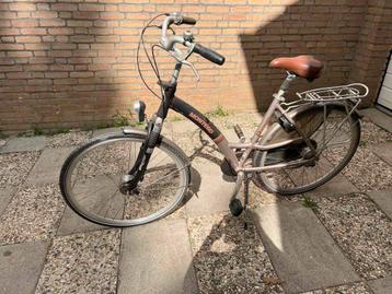 Mooie Dames fiets beschikbaar voor biedingen
