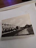 SLIKKERVEER.  RUWAARDLAAN, Ophalen of Verzenden