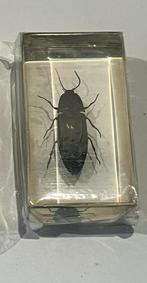 Insect in acrylhars, Ophalen of Verzenden, Nieuw, Opgezet dier