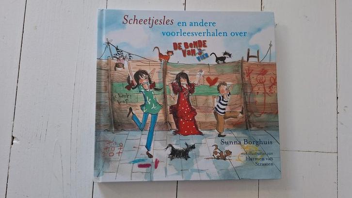 Sunna Borghuis - Scheetjesles, Boeken, Kinderboeken | Jeugd | onder 10 jaar, Zo goed als nieuw, Fictie algemeen, Ophalen of Verzenden