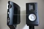 Raidho Acoustics C 1.2 + Stands, Zo goed als nieuw, 60 tot 120 watt, Front, Rear of Stereo speakers, Ophalen