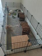 Caviahok, Kooi, Gebruikt, 75 tot 110 cm, Cavia