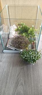 Klein aquarium, Dieren en Toebehoren, Vissen | Aquaria en Toebehoren, Ophalen, Zo goed als nieuw, Leeg aquarium