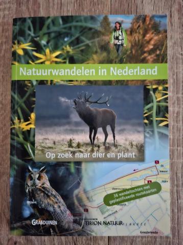 Natuurwandelen in Nederland, Grasduinen beschikbaar voor biedingen