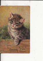 Poes Sunny Jim  24 juli 1908  M Stocks, Verzenden, Voor 1920, Gelopen, Overige thema's