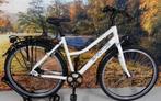 Santos Travel Lite 53 Cm Rohloff+Son+Magura Riemaandrijving, Ophalen, 56 cm of meer, Zo goed als nieuw, Koga Miyata