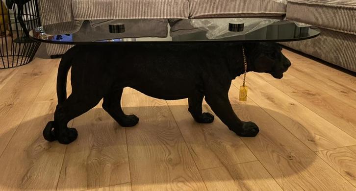 Bold monkey - Dope as hell coffee table, Dieren en Toebehoren, Hondenkleding, Zo goed als nieuw, Ophalen