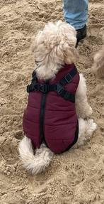 Trixie winterjasje hond, Dieren en Toebehoren, Honden-accessoires, Ophalen, Zo goed als nieuw