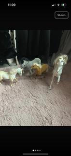 Paarden samen voor 6,-, Ophalen of Verzenden, Gebruikt, Jongen of Meisje